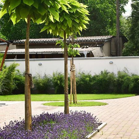 Villa Veda เซห์เดนิค ภายนอก รูปภาพ
